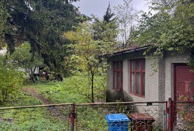 Casa Predeal Central - 1