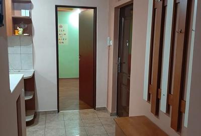 Apartament cu 2 camere decomandat în Nufărul