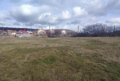 Teren de 5487 mp, în Betfia - 1