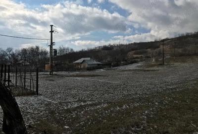 Teren de 4209 mp, în Strâmtura-Mitoc - 1