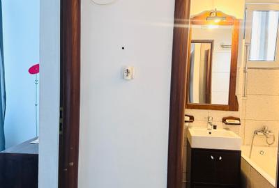 Titan Auchan/ Apartament Mobilat si Utilat / Metrou 1 Decembrie 1918 - 13