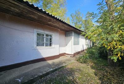 Casă cu 5 camere în Prundeni - 1