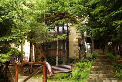 Spațiu comercial, de 510 mp, în Bisoca - 4