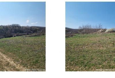 Teren de 3300 mp, în Central - 5