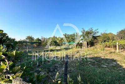 Casă cu 2 camere în Urechești - 8