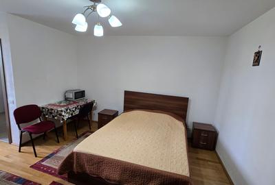 Garsonieră semidecomandată în Costin Georgian - 3