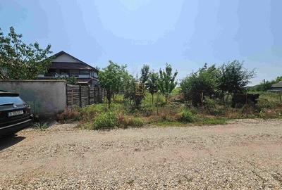 Teren de vanzare, 561 mp, strada Cetatea Alba, Mamina, Comuna Berceni Teren de vanzare, 561 mp, strada Cetatea Alba, Mamina, Comuna Berceni - 11