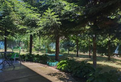 Vila de vanzare in Snagov in vecinatatea padurii Vila de vanzare in Snagov in vecinatatea padurii - 4