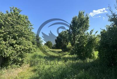 Teren Vanzare 11.000 MP Ghirdoveni | Comision 0% - 2