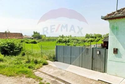 Teren de 5018 mp, în Variașu Mare - 3