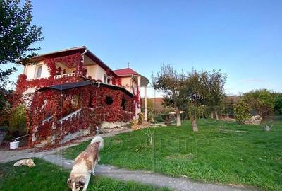 Casa deosebita cu 4 camere, Gherla, Mintiu Gherlii+Teren 120 - 17