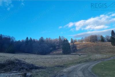 Teren intravilan zona Silver Mountain , Poiana Brasov - 1