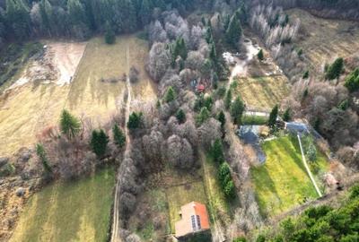 Teren intravilan 2000 mp în Vulcan BV – Oază de liniște între pădure și lacuri - 8