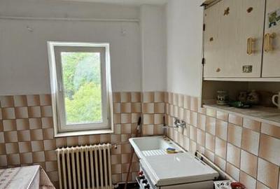 NORD Mestesugaresc 2 camere cf1 semidec 4/4 la 45000 euro - 7