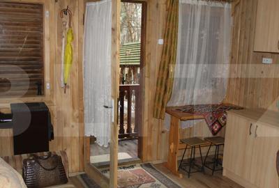 Casu?a de vacan?a langa Lacul Reci lini?te, nat - 8