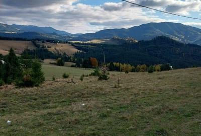 Teren Construcții extravilan de 10450 mp, în Tiha Bârgăului - 7