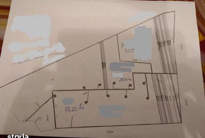 Teren de 1500000 mp, în Clejani - 2