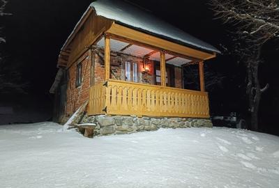 Teren superb, in mijlocul pădurii - 8
