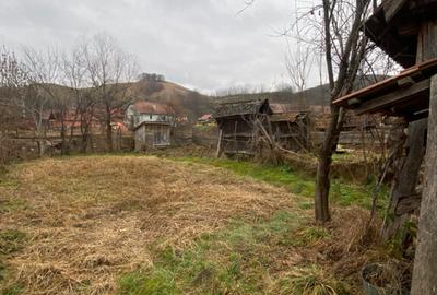 Casa de vanzare sat Buia, Sibiu PROPRIETAR - 12