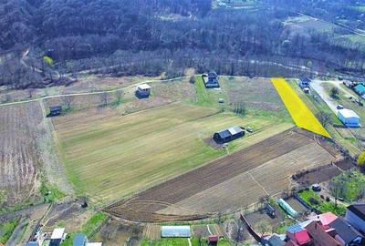 BUDESTI - TEREN 2550 MP - 8