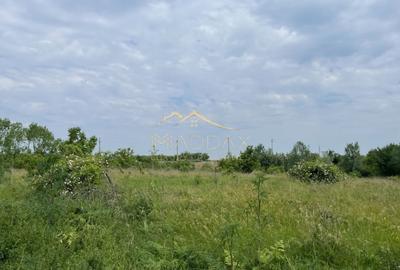 Teren Construcții intravilan de 1439 mp, în Crețești - 11