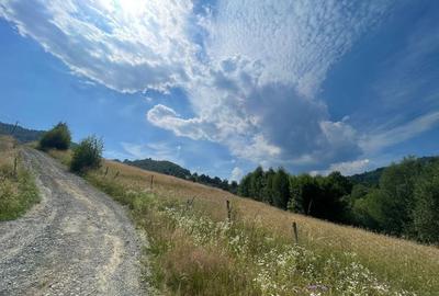 Teren intravilan I Loc deosebit, inconjurat de padure I Vladeasa - 1