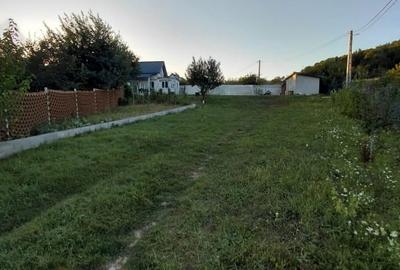 Vand casă și teren de 10 arii.Zina liniștită - 7