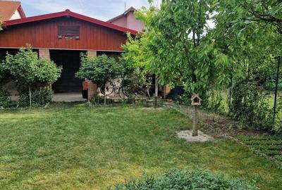 Inchiriez casa individuala in Mosnita Noua, cartier Europa - 9