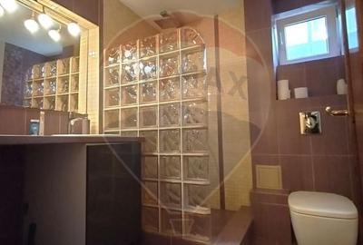 Casă individuală cu 8 camere cu Teren 982 Mp în Central - 25