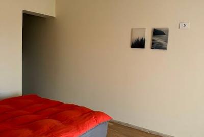 Casa vânzare Dumbrăvița lângă Pădure de la Proprietar - 9