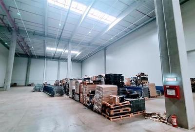 Hala industriala 2400 mp, Calea Lugojului - 5