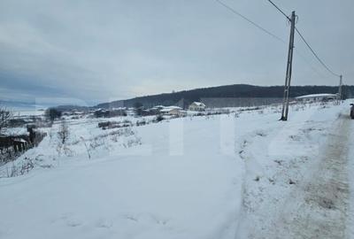 Teren de 990 mp, în Jelna - 3