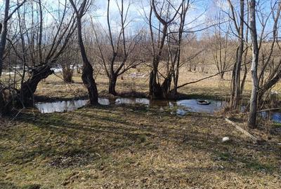 Teren Construcții intravilan de 5967 mp, în Sohodol - 4