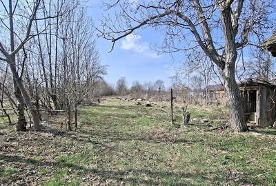 Casă cu 4 camere cu Teren 3000 Mp în Central - 1