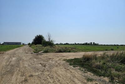 Teren intravilan, 12.200mp, Balotesti, oportunitate de investitie - 5