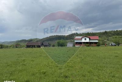 Casă cu 4 camere în Topa Mică - 14