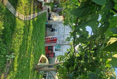 Casă cu 2 camere în Măldăeni - 7