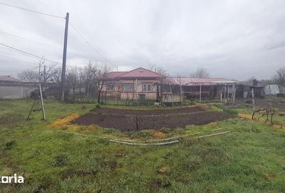 Casă cu 6 camere cu Teren 1760 Mp în Măldăeni - 8