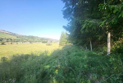 Teren, Ideal pentru Investitie Sau Dezvoltare - 14