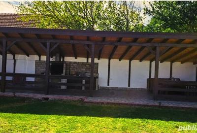 Casa de vanzare Pe?teana, jud. Hunedoara - 10