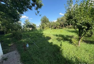 Casa de vanzare Feldioara Jud Brasov Casa curte Feldioara Brasov Casa aproape de Brasov Casa Vanzare - 4