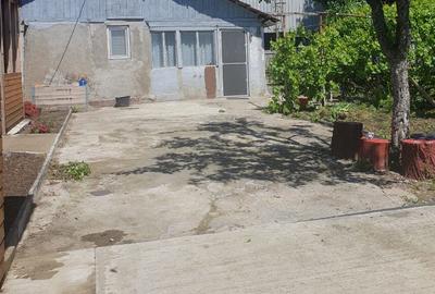 Casa batraneasca , foisor si teren de vanzare - 12