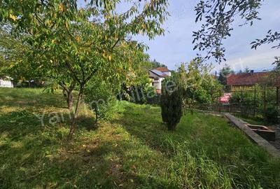 Casa de vanzare in Curtea de Arge?. - 20