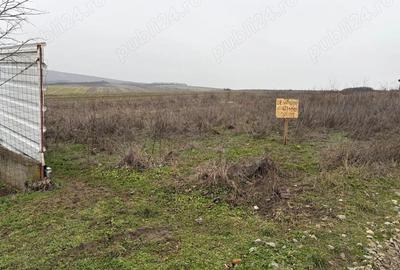 Teren de 500 mp, în Central