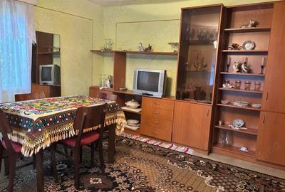 Casa de vanzare in comuna Lechinta - 8