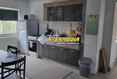 SEBES ! Vanzare Apartament 2 camere decomandat Etaj 2 cu 2 balcoane Central cu priveliste deosebita - 3