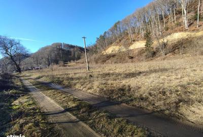 Spațiu comercial, în Timișu de Jos - 3