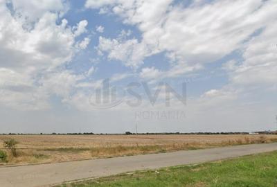 Teren 11 hectare Jilava Teren 11 hectare Jilava - 1