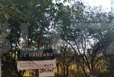 Teren de 2042 mp, în Gruia - 3