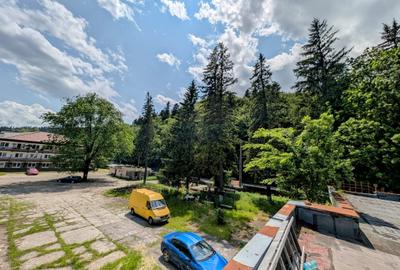 Sinaia-Vadul Cerbului,S+P+E+M,teren 6300mp,desch.DN=72m,vila+restaurant+terasa - 2